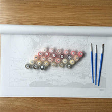 DIY Paint By Number - Flower Picture Wall Art Painting