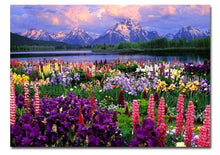 DIY Paint By Numbers - Beautiful Landscape Nature Home Decor